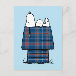 Peanuts   Snoopy Randig Flanell Jul Hundhus Vykort