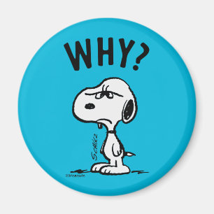 Peanuts Snoopy undrar varför? Magnet