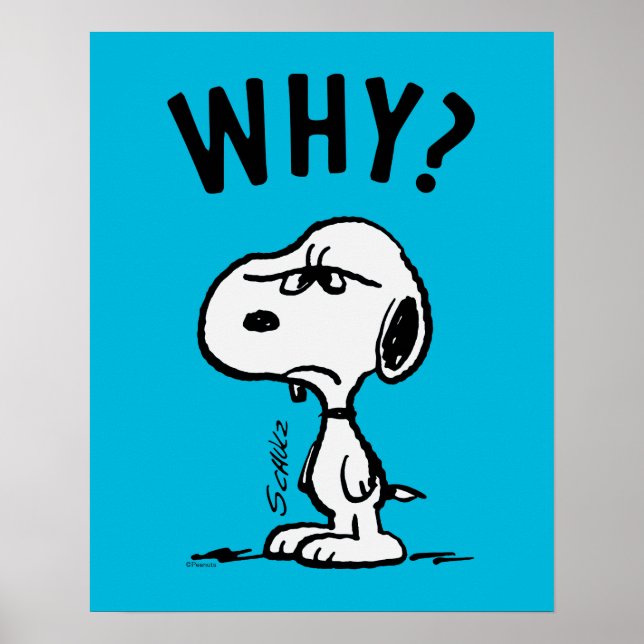 Peanuts | Snoopy undrar varför? Poster (Framsidan)