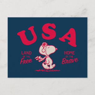 Peanuts Snoopy USA Land of the Free Vykort