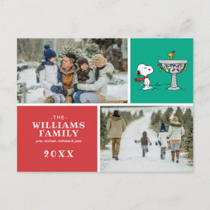 Peanuts   Snoopy & Woodstock Fryst Fågelbad Helg Vykort