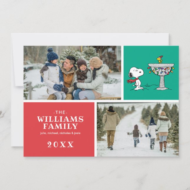 Peanuts | Snoopy & Woodstock Fryst Fågelbad Julkort (Framsida)