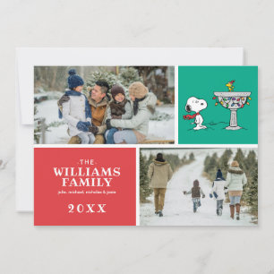 Peanuts   Snoopy & Woodstock Fryst fågelbad Julkort