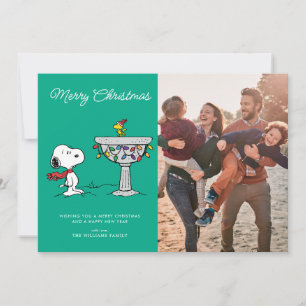 Peanuts   Snoopy & Woodstock Fryst fågelbad Julkort