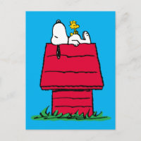Peanuts | Snoopy & Woodstock Hundkoja