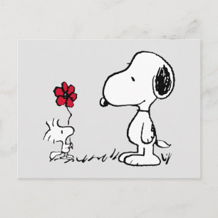 Peanuts Snoopy & Woodstock Röd & Svart Vykort
