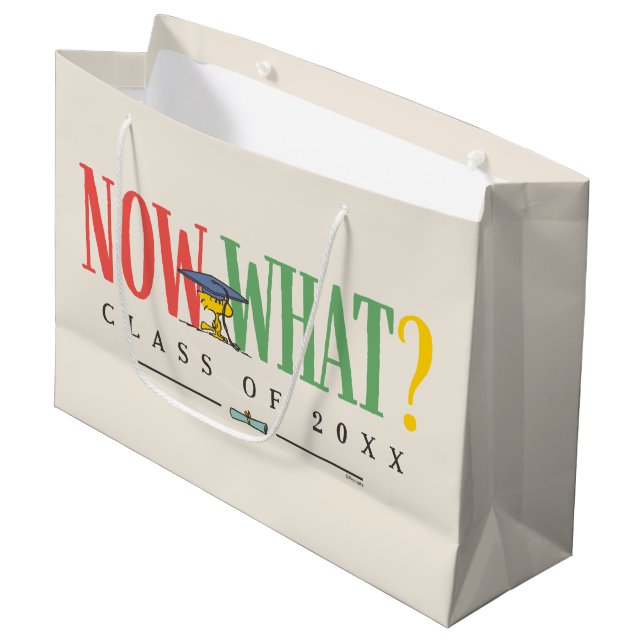 Peanuts Woodstock Now What Graduation Funny Quote (Framsidan Vinklad)