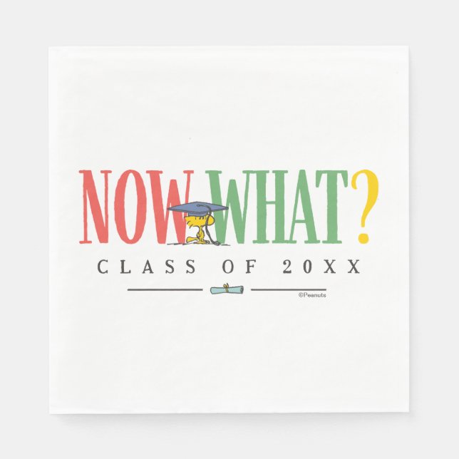 Peanuts Woodstock Now What Graduation Funny Quote Pappersservett (Framsidan)