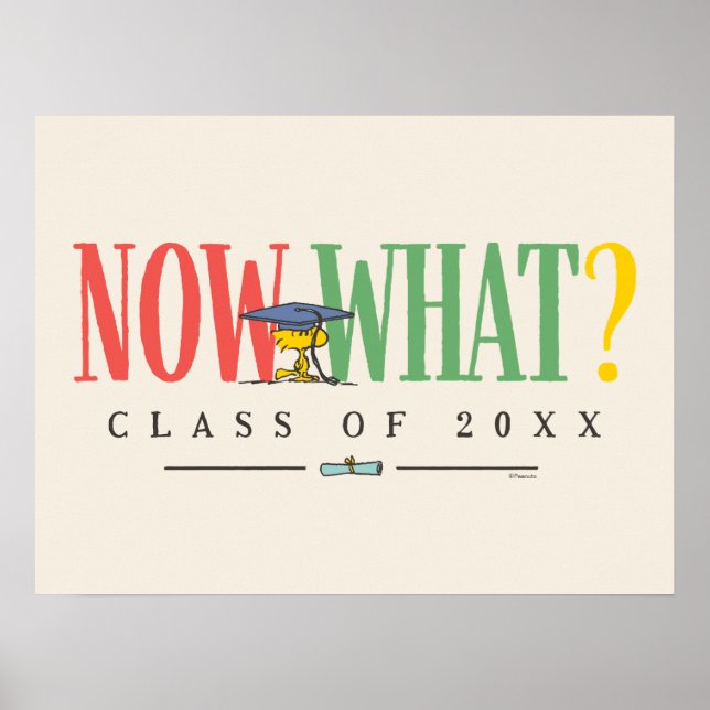 Peanuts Woodstock Now What Graduation Funny Quote Poster (Framsidan)
