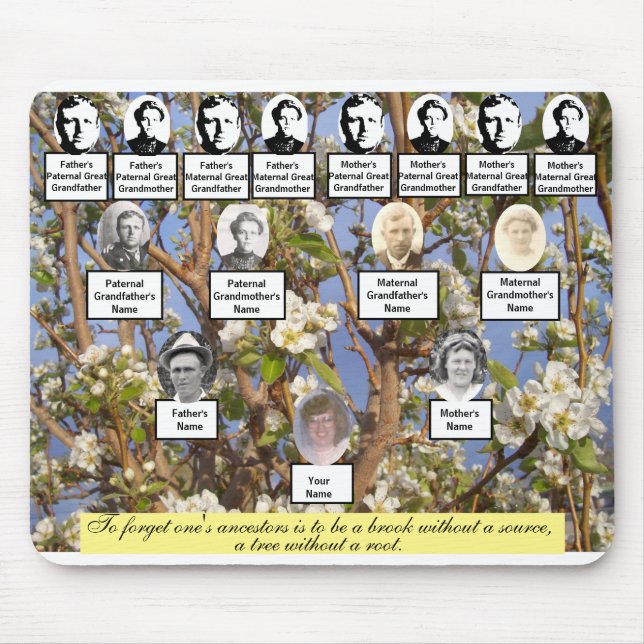 Pear Blommar Family Träd-citat och foton Musmatta (Framsidan)