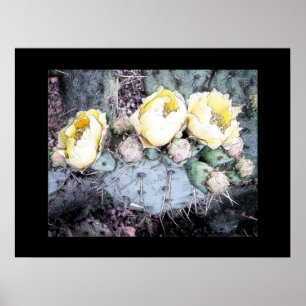 Pear Blooms Bläck, effekt Poster