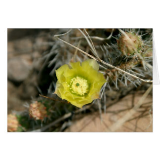 Pear Cactus Flower Hälsningskort