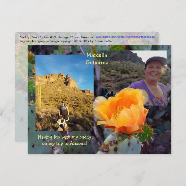 Pear Cactus Flower / Orange / Arizona USA Vykort (Fram/baksida)