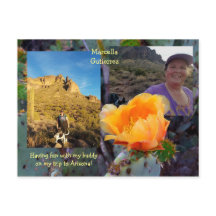 Pear Cactus Flower / Orange / Arizona USA