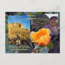 Pear Cactus Flower / Orange / Arizona USA Vykort