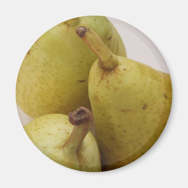 Pear Fruit Magnet (Framsidan)