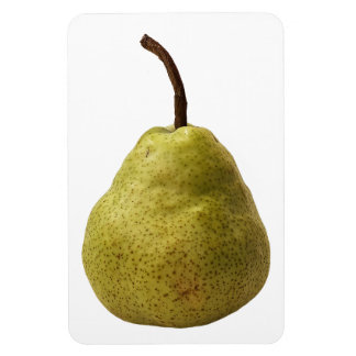Pear Fruit Photo Magnet