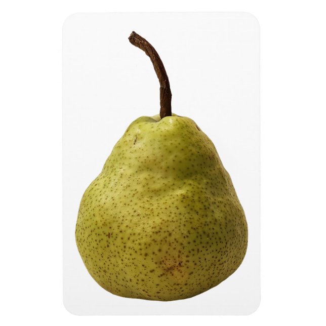 Pear Fruit Photo Magnet (Vertikal)