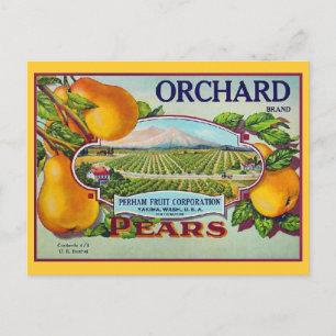 Pear Fruit Vintage Låda-etikett Vykort
