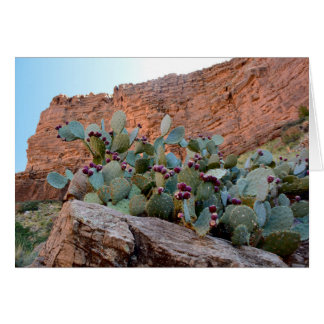 Pear i Grand Canyon OBS Kort