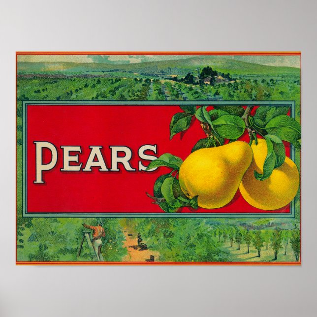 Pear Lagrar Låda-etikett Poster (Framsidan)
