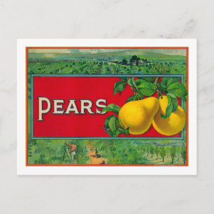 Pear Lagrar Låda-etikett Vykort