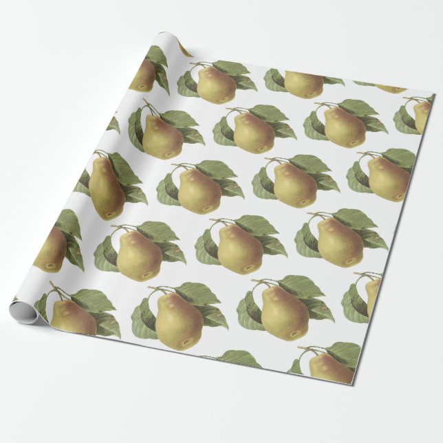 Pear Mönster Presentpapper (Utrullad)