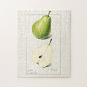Pear (Pyrus Communis) - Färgmålning på frukt Pussel