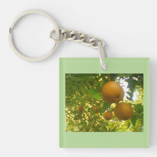 Pear Träd Design
