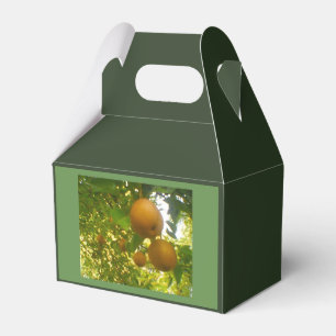 Pear Träd Harvest Presentaskar