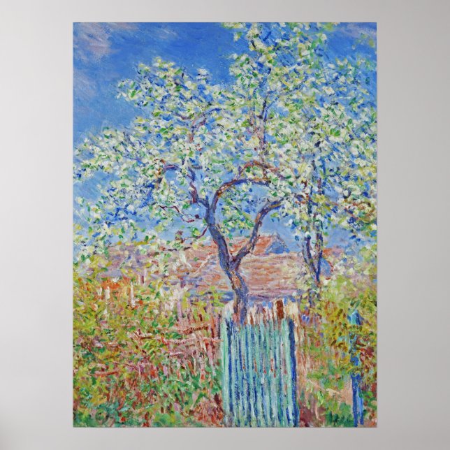Pear Träd in Flower - Claude Monet Poster (Framsidan)