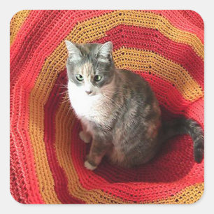 Pearl Cat på afghanska Fyrkantigt Klistermärke