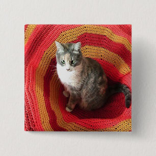 Pearl Cat på afghanska Knapp