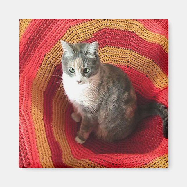 Pearl Cat på afghanska Magnet (Framsidan)