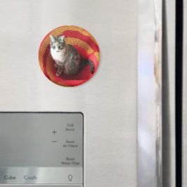 Pearl Cat på afghanska Magnet