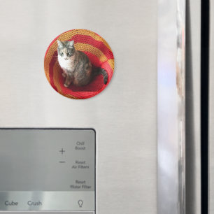 Pearl Cat på afghanska Magnet