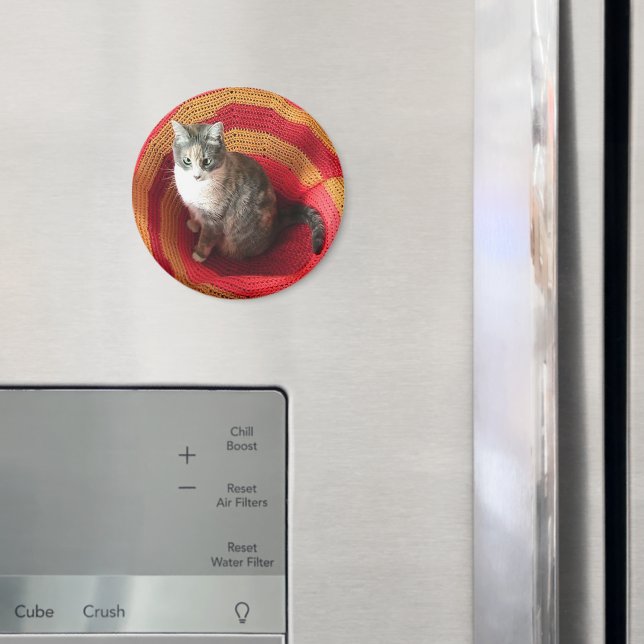 Pearl Cat på afghanska Magnet (In Situ (Fridge))