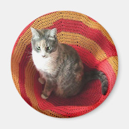 Pearl Cat på afghanska Magnet