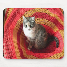 Pearl Cat på afghanska Musmatta