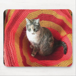 Pearl Cat på afghanska Musmatta