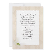 Pearl Ram on Damask Pattern