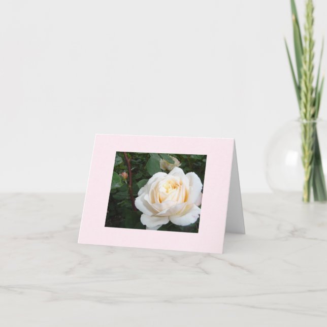 Pearl Ro blank notecard Kort (Framsida)