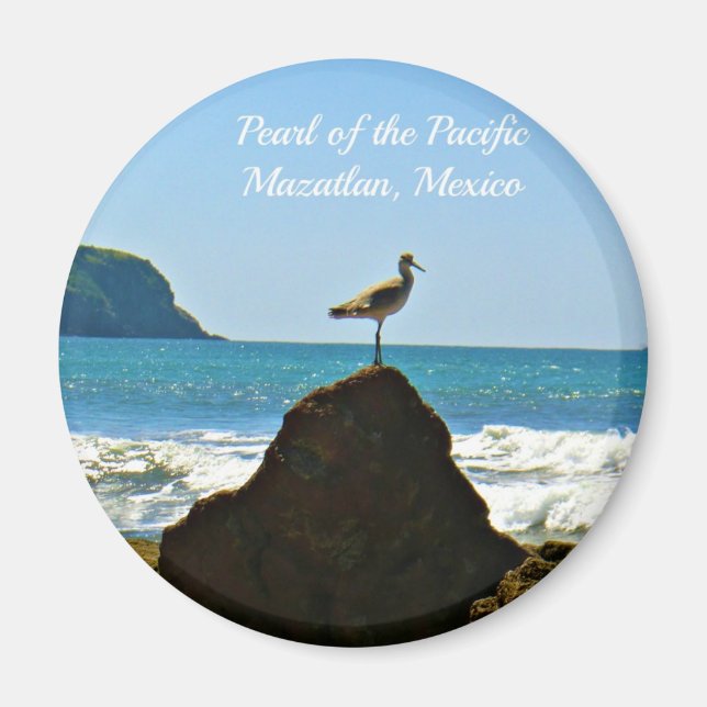 Pearl the Pacific Mazatlan Mexico Bird Magnet (Framsidan)