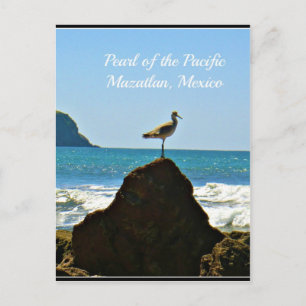 Pearl the Pacific Mazatlan Mexico Bird Vykort