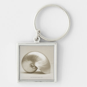 Pearlised nautilushavssnäcka fyrkantig silverfärgad nyckelring
