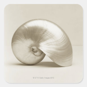 Pearlised nautilushavssnäcka fyrkantigt klistermärke