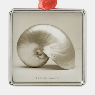 Pearlised nautilushavssnäcka julgransprydnad metall