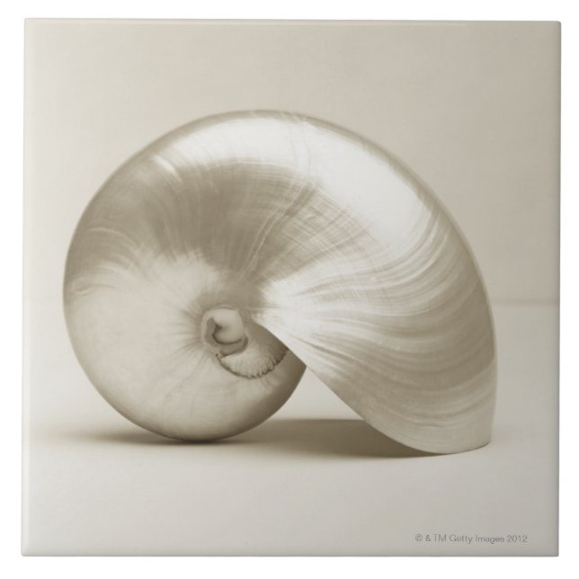 Pearlised nautilushavssnäcka kakelplatta (Framsidan)