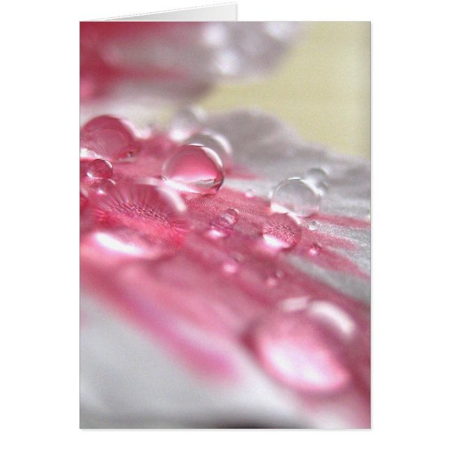 Pearls Card Hälsningskort (Framsidan)