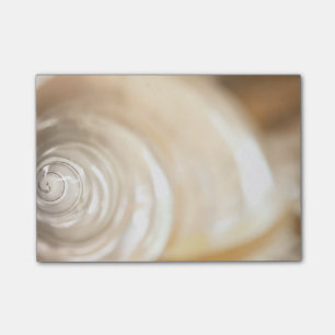 Pearly White Sea Snäcka Marine Nature Post-it Block